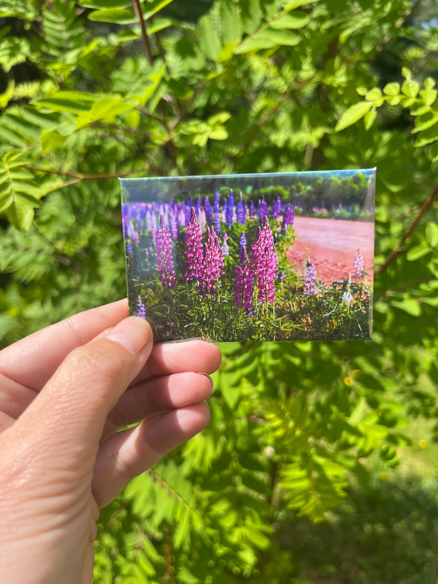 Six Smiles - Custom Photo Magnet Gift Set